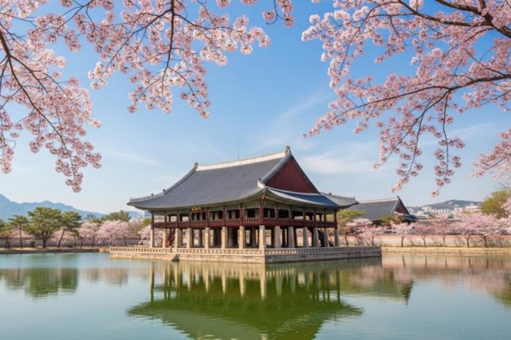 Du lịch H&agrave;n Quốc đẹp nhất v&agrave;o m&ugrave;a xu&acirc;n